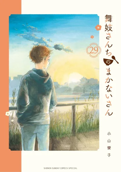 Cover of Vol. 29