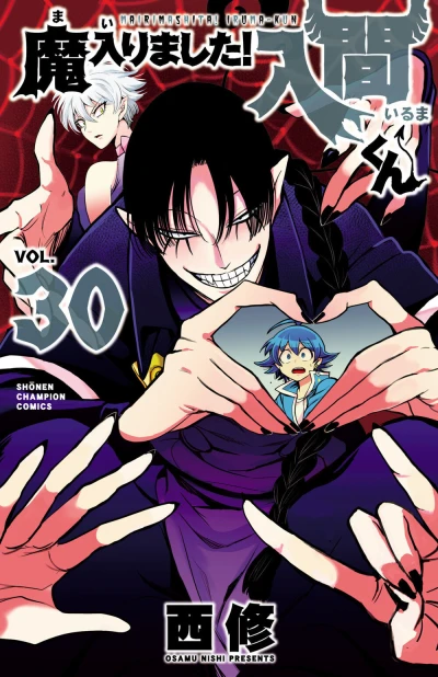 Cover of Vol. 30