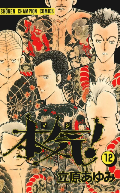 Cover of Vol. 12