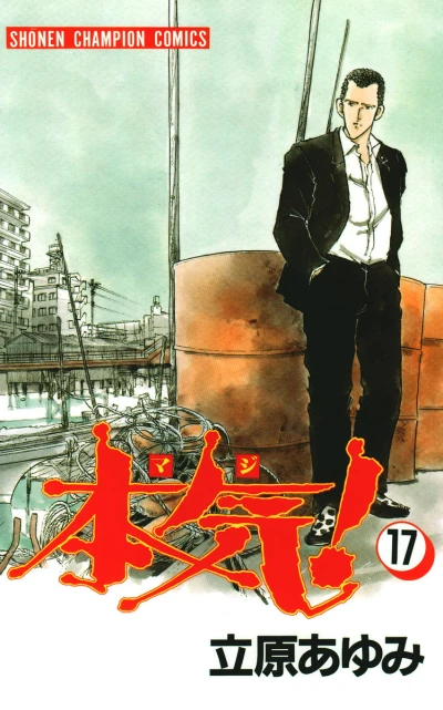 Cover of Vol. 17