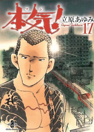 Cover of Vol. 17