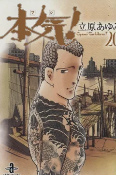 Vol. 20