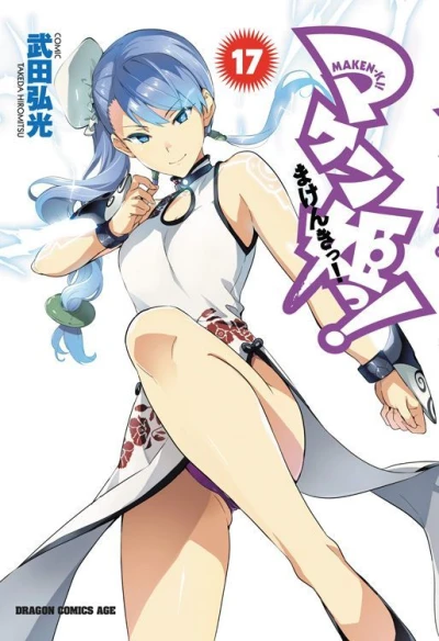 Cover of Band 17