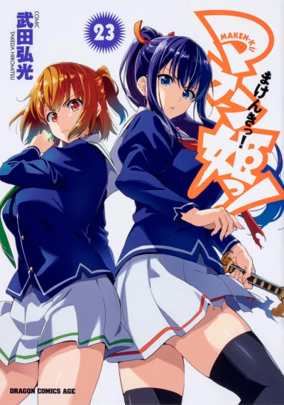 Cover of Vol. 23