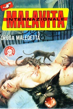 Droga maledetta