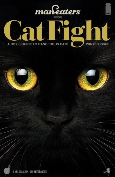 Cover of Cat Fight