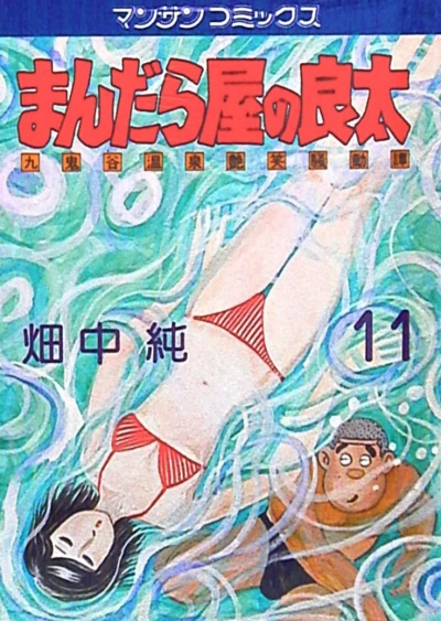 Cover of Vol. 11