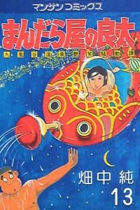 Vol. 13