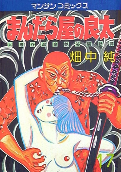 Cover of Vol. 17