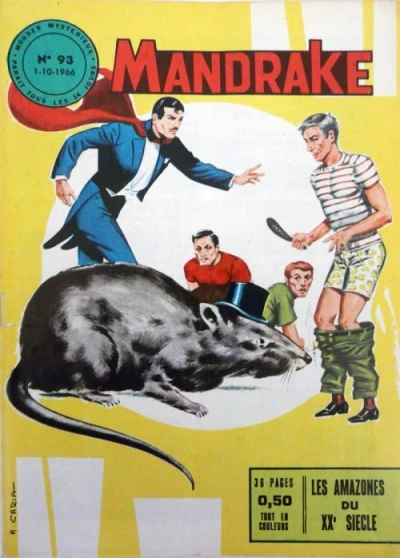 Cover of Les amazones du XXe siecle