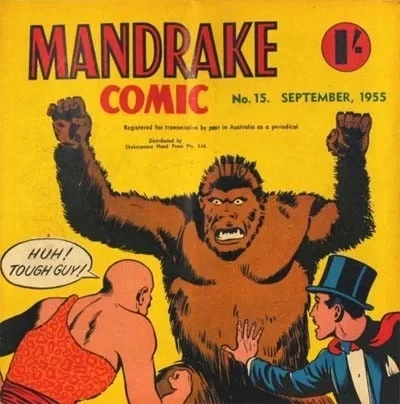 Cover of Issue #15