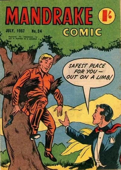 Cover of Issue #24