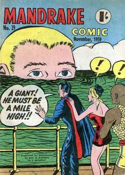 Cover of Issue #29