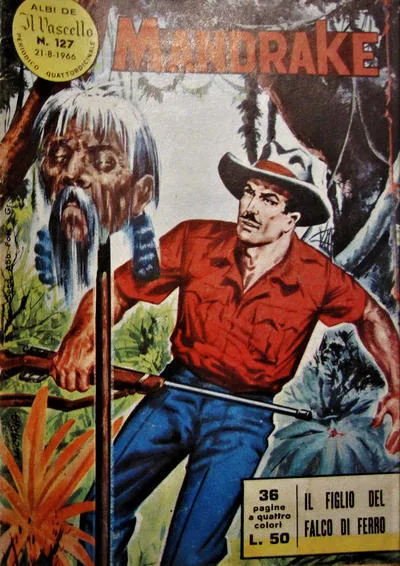 Cover of Il figlio del Falco di Ferro