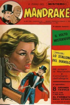 Il volto misterioso