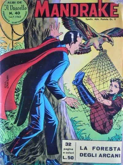 Cover of La Foresta degli Arcani