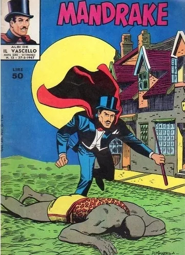 Cover of La strega del villaggio