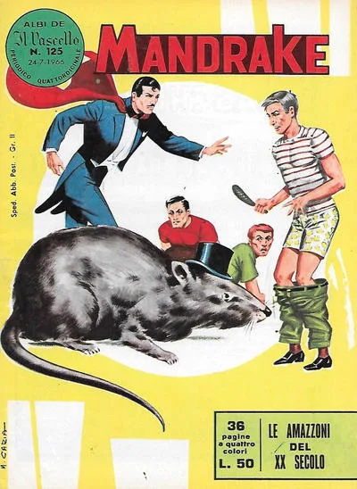 Cover of Le amazzoni del XX secolo