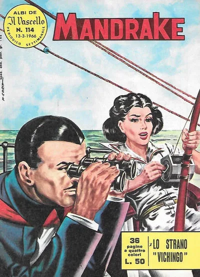Cover of Lo strano "vichingo"