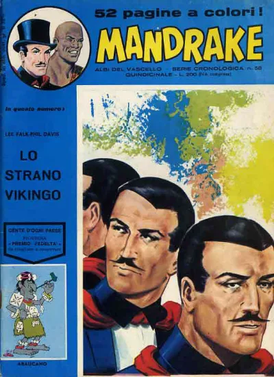 Cover of Lo strano vikingo