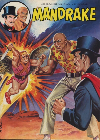 Cover of Gli uccelli misteriosi