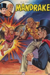 Gli uccelli misteriosi