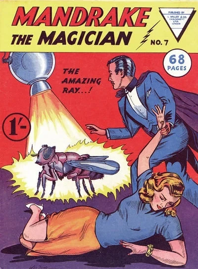 Cover of The Amazing Ray...!