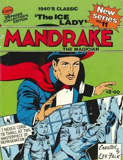 Cover of The Ice Lady