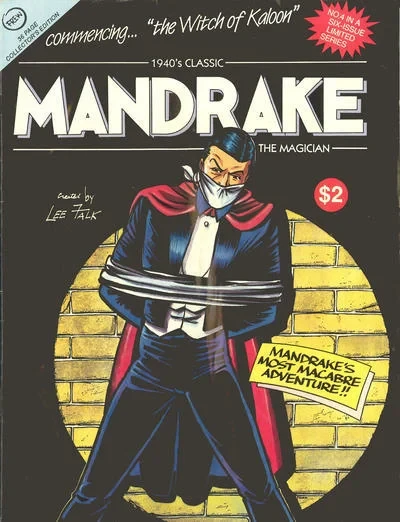 Cover of The Witch of Kaloon