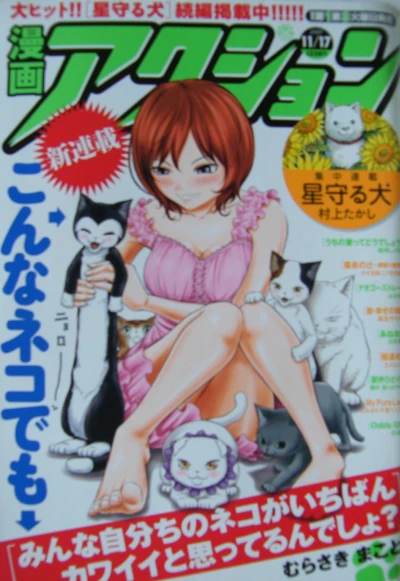 Cover of No. 22, 2009
