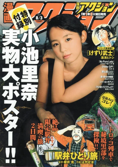 Cover of No. 15, 2010