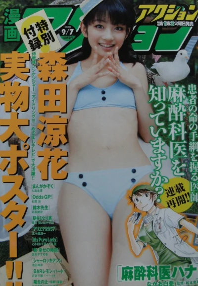 Cover of No. 17, 2010