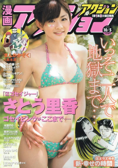 Cover of No. 19, 2010