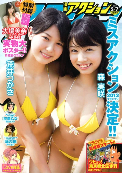 Cover of No. 9, 2013