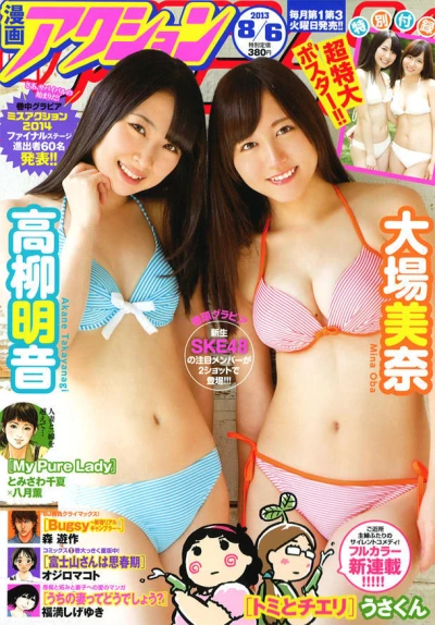 Cover of No. 15, 2013