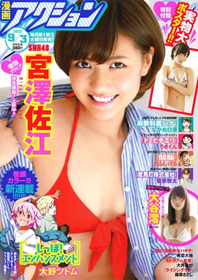 Cover of No. 17, 2013