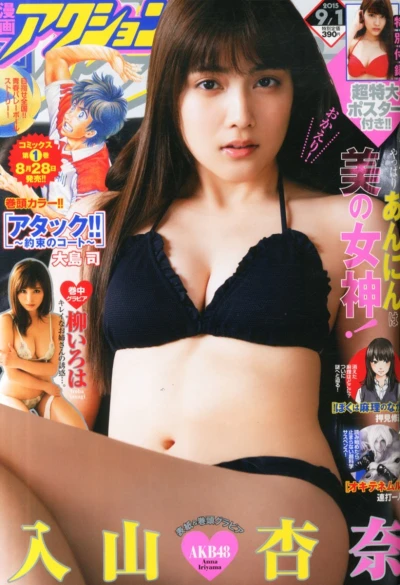 Cover of No. 17, 2015