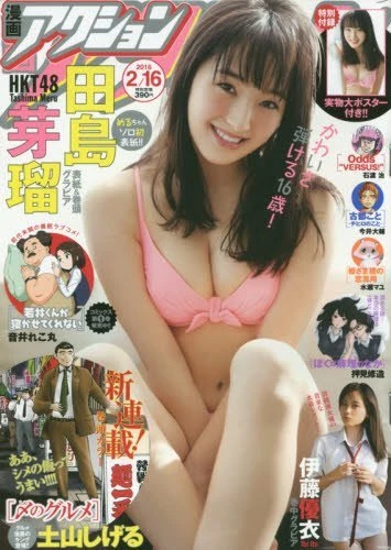 Cover of No. 4, 2016