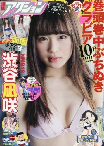 Cover of No. 12, 2016