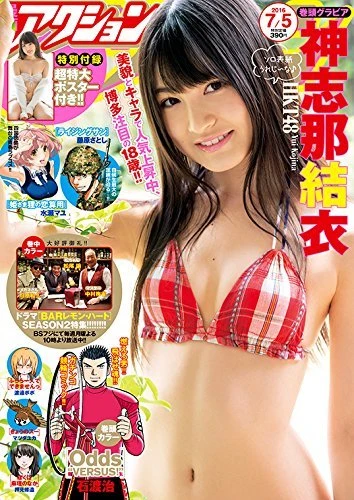 Cover of No. 13, 2016