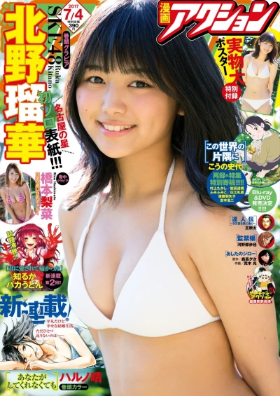 Cover of No. 13, 2017