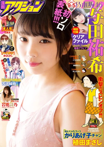 Cover of No. 17, 2017