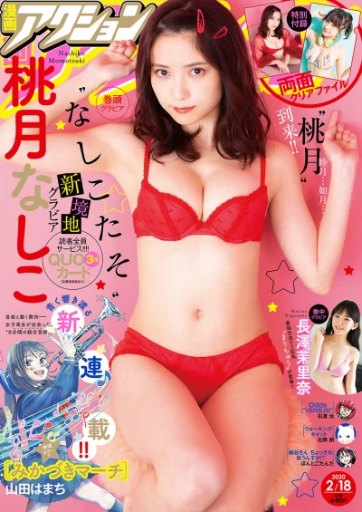 Cover of No. 4, 2020