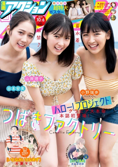 Cover of No. 19, 2020