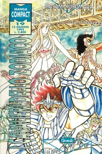I Cavalieri dello Zodiaco 19