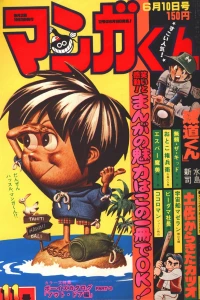 No. 11, 1977