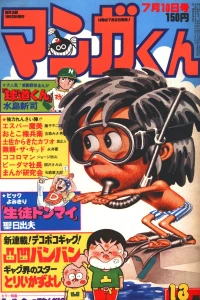 No. 13, 1977