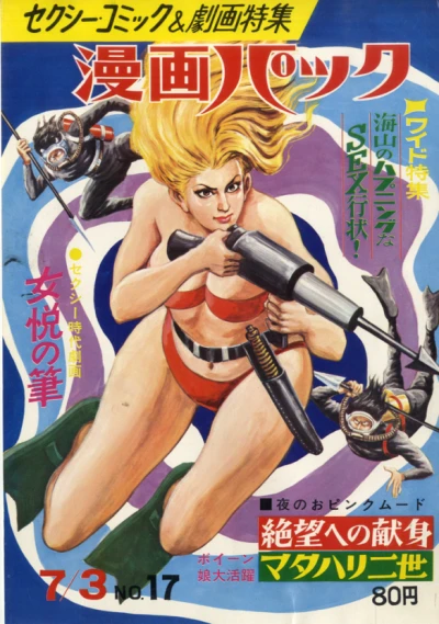 Cover of Volume #17