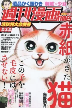 Issue #3660