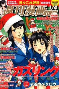 Issue #3072